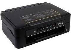 Cartucho Alternativo Para Epson 296 Negro Xp231 Xp241 T297