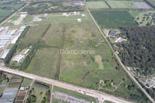 Imagen 6 de 12 de Terreno Fraccion En Venta Ubicado En Cuartel V, Moreno, G.b.a. Zona Oeste