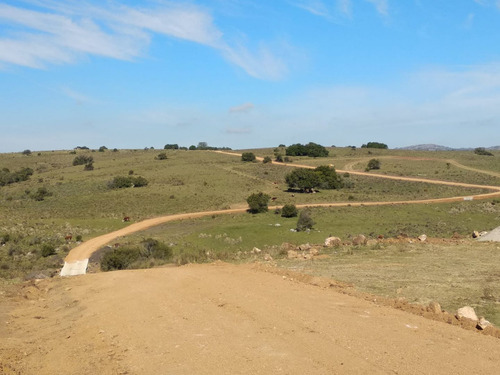 Venta De Campo En San Carlos, Maldonado (ref: Zen-17534)