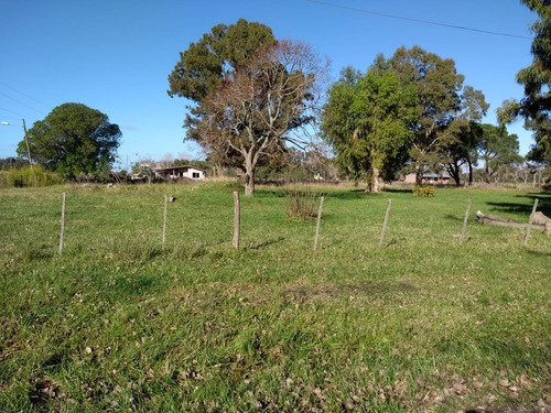 Imagen 6 de 10 de Lote De 50 X 58 En El Casal A Una Cuadra De La Ruta 2