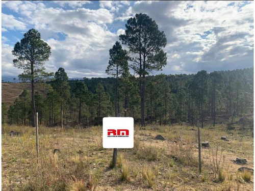 Imagen 1 de 5 de Excelente Lote En Venta En Las Sierras Cordobesas