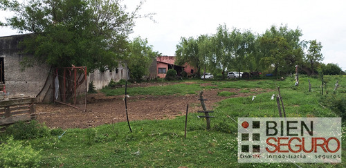 Chacra De 36,2440 Hás, Monte Nativo En Venta En Toledo Chico