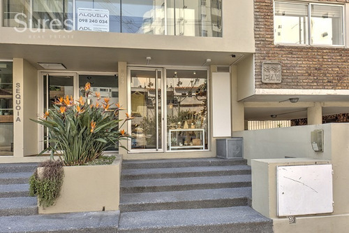 Excelente Local Con Renta En Punta Carretas