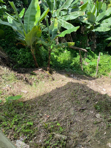 Terreno Con Estructura Potrero Del Medio Carrizal