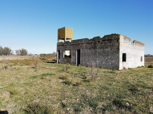 Imagen 11 de 13 de Campo 5ha - Con Pequeña Construcción - Capitan Sarmiento -
