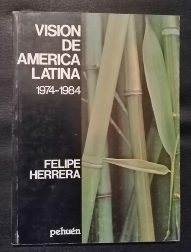 Vision De America Latina 1974 1984 