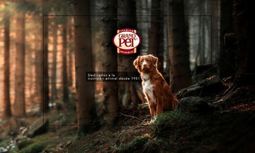 Alimento Para Perro Carne Fresca Puppy Care 4 Kg Cachorros