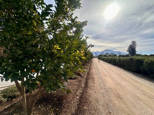 Inversión Agroindustrial Lista Para Operar | 1 Hectárea T...