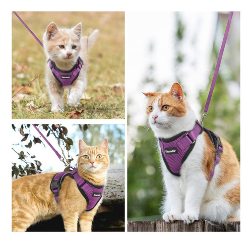 Set De Arnés Y Correa Para Gatos Dooradar Escape Proof Para