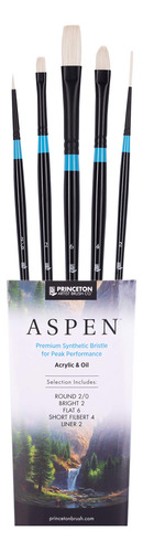 Princeton Aspen 6500 5pc Cepillos De Pintura Profesionales -