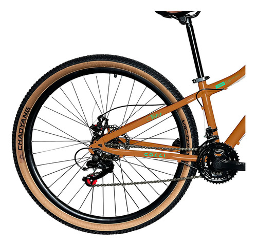 Bicicleta Viena Aro 29 Freio Disco 21v Com Cestão Colli Cor Bronze Tamanho Do Quadro 17