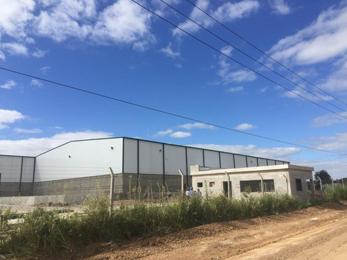 Imagen 1 de 21 de Fracción Industrial 36 Ha. Galpón 14.000 M² Cub. - Carlos Spegazzini