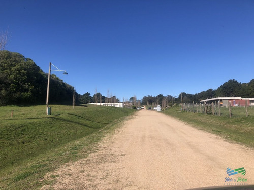 Imagen 12 de 16 de Terreno De 2000 M2 En Venta Zona Punta Ballena Barrio Los Tordillos - Punta Ballena Los Tordillos