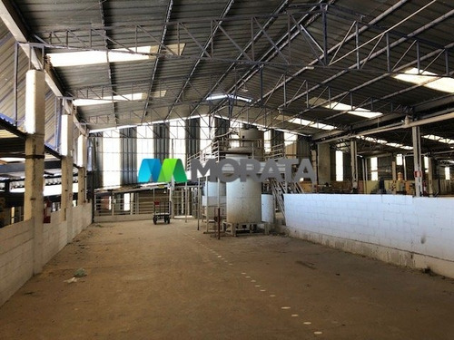 Imagem 5 de 15 de Galpao - Distrito Industrial (vale Do Jatoba) - Ref: 2812 - L-mta2812