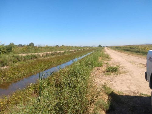 Imagen 7 de 8 de Terreno En Venta
