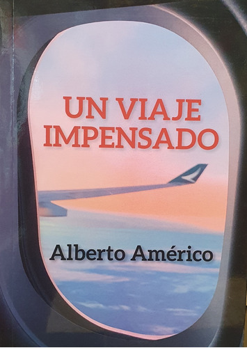 Un Viaje Impensado, De Alberto Americo. Editorial Varios-autor, Tapa Blanda, Edición 1 En Español