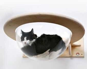 Repisa Gato, Cúpula Tranparente Y Repisa Pino, Súper Oferta