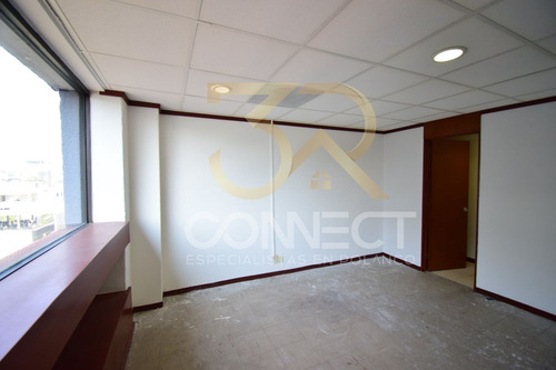Oficina En Renta En Anzures 22c/3b/1e - Excelente Ubicación - 650m2