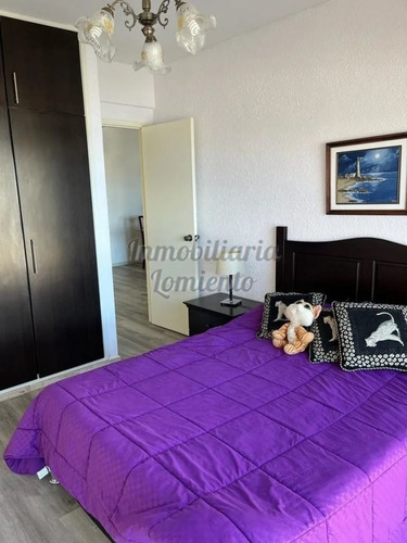 Imagen 12 de 14 de Venta-alquiler Temporada Apartamento 1 Dormitorio Península
