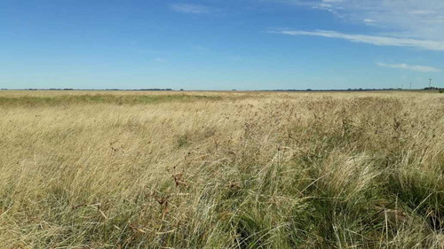 Fazenda Com 4.200 Hectares Para Lavoura E Pecuária - Rs