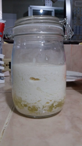 Imagen 1 de 4 de Kefir (hongos Bulgaros Para Hacer Yogurt Casero)