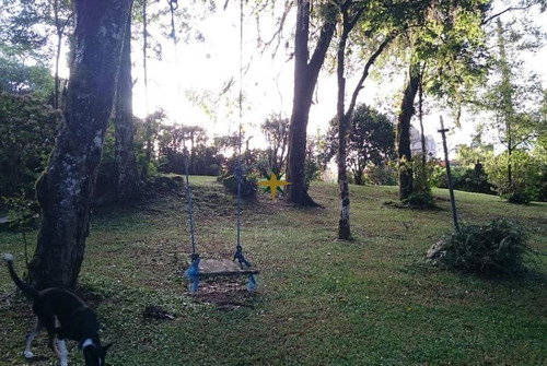 Imagem 4 de 5 de Terreno Residencial E Comercial - 627