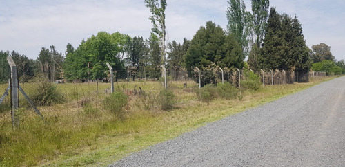 Imagen 6 de 6 de Lote En Venta Petion Chico Sin Expensas Barrio Abierto Cañuelas