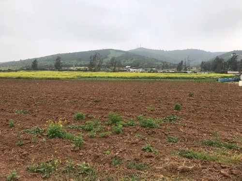 Hermosa Y Bien Ubicada Parcela En Los Laureles Limache