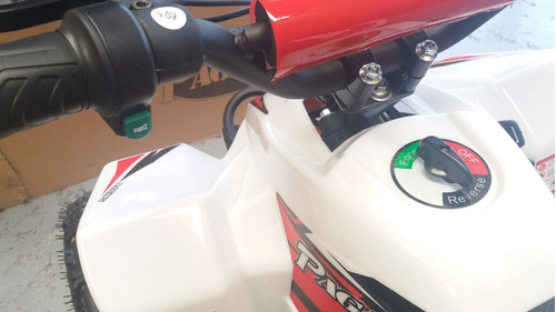 Imagen 7 de 8 de Mini Cuatri Max Eléctrico Para Niños Pagani
