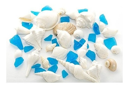 Sea Shell Decorativo Blanco Y Mezcla De Cristal De Aqua Mar 