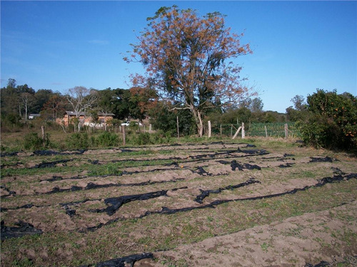 Imagem 18 de 30 de Sítio Rural À Venda, Lami, Porto Alegre. - Si0006