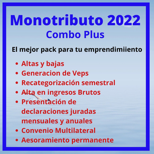Imagen 4 de 6 de Contador Publico- Monotributo- Iva