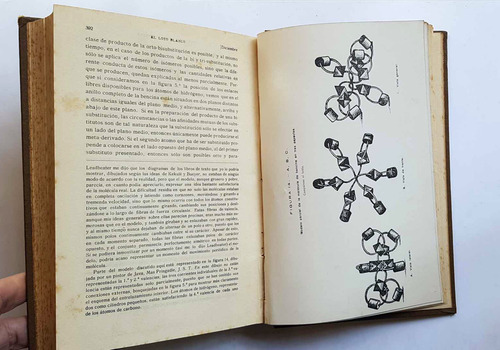 Loto Blanco Anuario De Teosofia Barcelona 1917 Blavatsky (Usado)