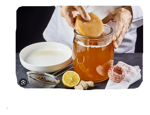 Kombucha Kit Inicial Scoby + Líquido Arrancador Bebida Salud