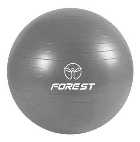 Pelota Yoga Ball Forest Fitness Esferodinamia 75 Cm Gym Color Gris