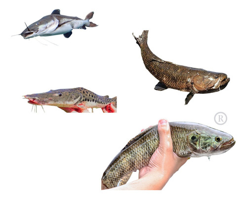 Rede P/ Pesca Malha 4 X 4cm (40mm)altu192 Fio 0.35 70mt Cor Transparente