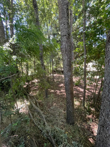 Venta De Propiedad En Camino A Las Termas De Chillán