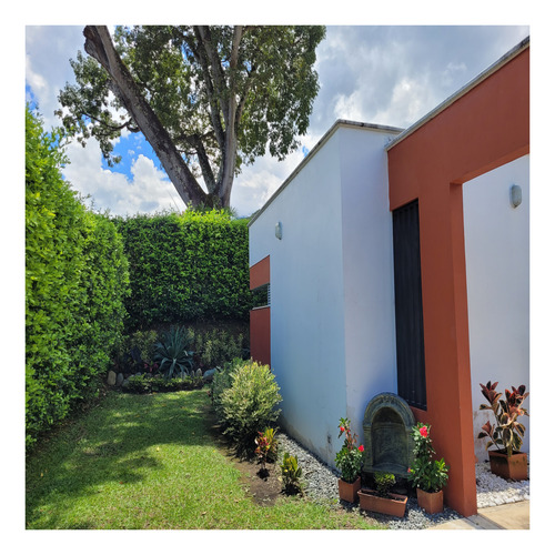 Imagen 7 de 20 de Finca En Venta En Vía Vereda El Rincón San Jeronimo Antioquia