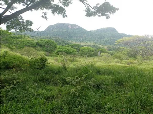 Vendo Lotes En La Pintada Con Vista A Farallones Desde 2.703 M²