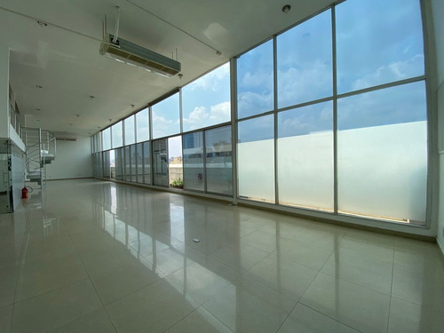 Renta Oficina 600 M2 Ph En Polanco - Horacio