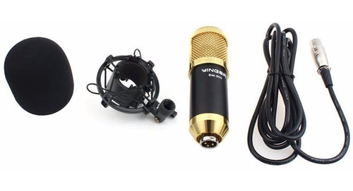 Microfone Bm800 Condensador Profissional Com Acessórios