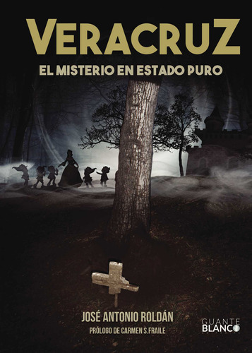 VERACRUZ EL MISTERIO EN ESTADO PURO, de Roldán Sánchez , José Antonio.. Editorial Guante Blanco, tapa blanda, edición 1.0 en español, 2016