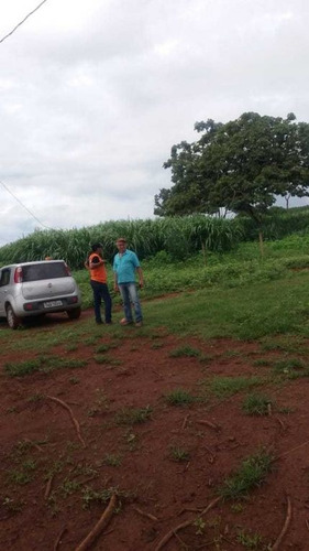 Imagem 16 de 25 de Fazenda Com 178 Hectares Rica Em Agua Em Felixlandia Mg - 36425