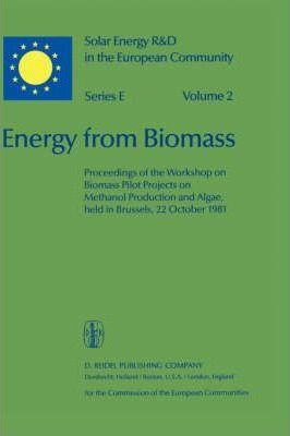 Libro Energy From Biomass - Willeke Palz