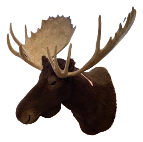 Animales Disecados 100% Artificiales Alce (moose)