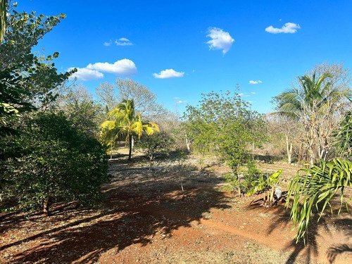 Terreno De 6 Hectáreas En Venta  Kanasín  Merida