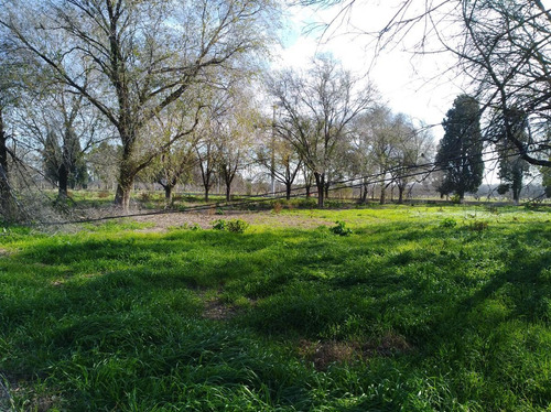 Imagen 28 de 30 de Quinta - Guiñazu