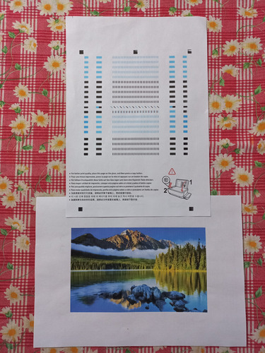 Impresora Hp Ink Tank Wireless 415 Negro (Usado)