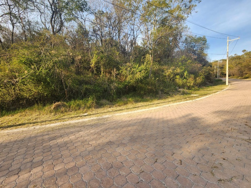 Venta Lote Gladiola 42 Con Vistas Panorámicas Y Todos Los Servicios Y Proyecto Incluído. A Unos Pasos De Las Amenidades En Nueva Zona De Fracc Rancho San Diego Ixtapan De La Sal Edomex