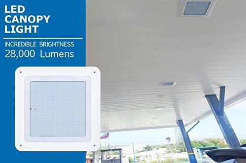 Hytronics Led Canopy Light Lumene Hps Hid Reemplazo Lm